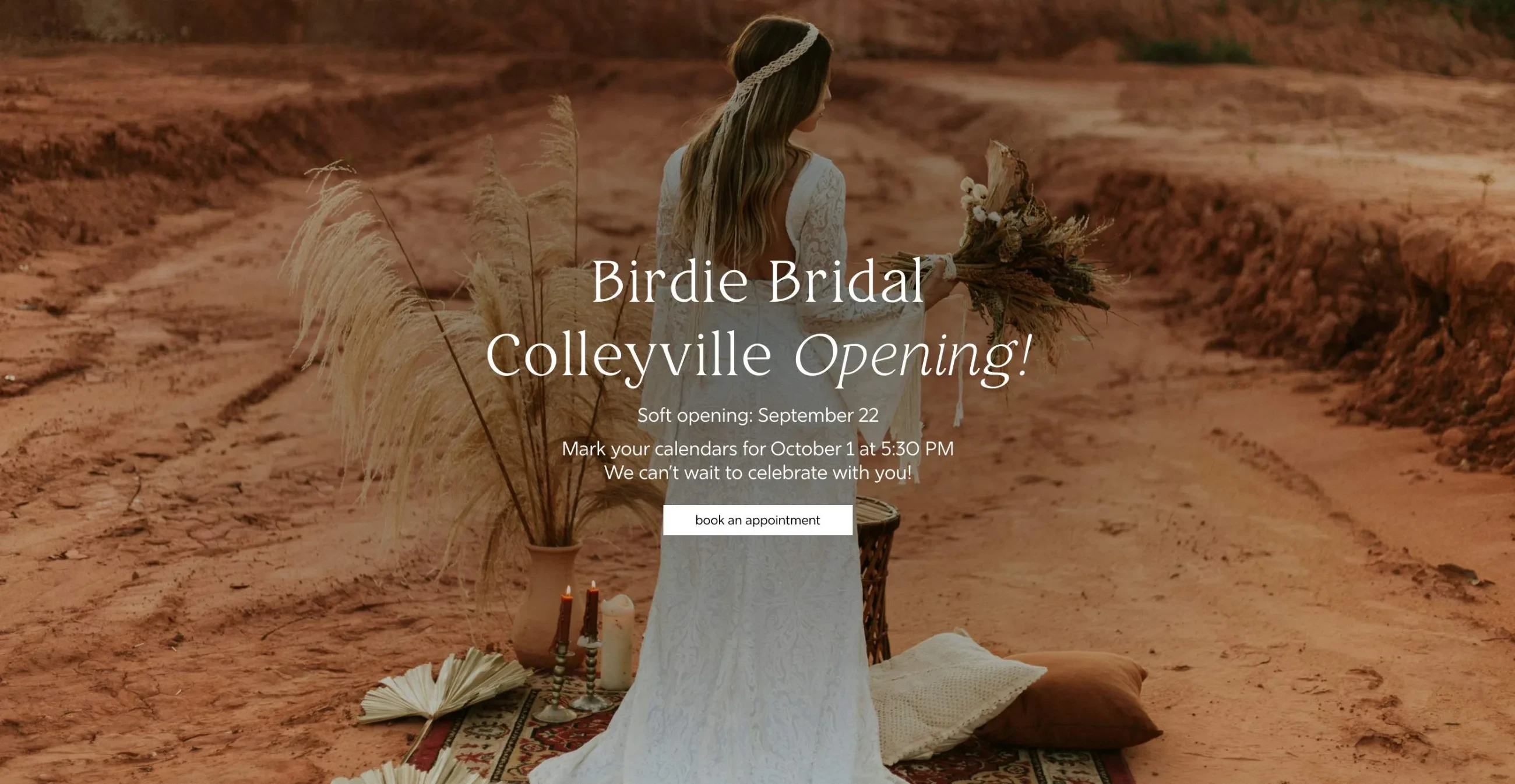 Model wearing bridal gowns, Bridie Bridal Colleyville Opening desktop banner